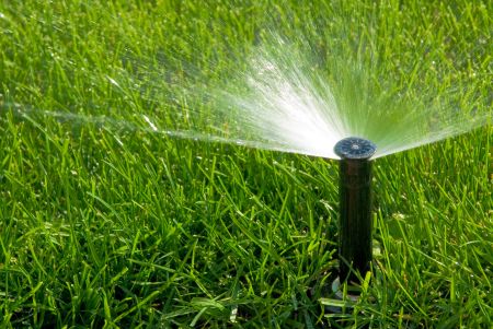 Signs Your Irrigation System Is Wasting Water